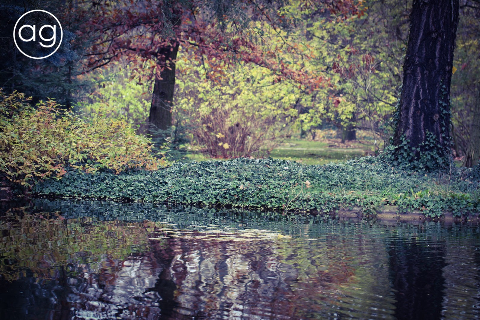 jesienny spacer, kolorowa listopada połowa, ogród botaniczny, Poznań, agnieszkagertnerblog, Agnieszka Gertner, jesień, architektura krajobrazu