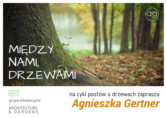 grupa edukacyjna, architecture & gardens, Agnieszka Gertner, agnieszkagertnerblog, welcome on board, powitanie